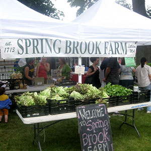 Participating in a Co-op at Roslindale Village Main Street