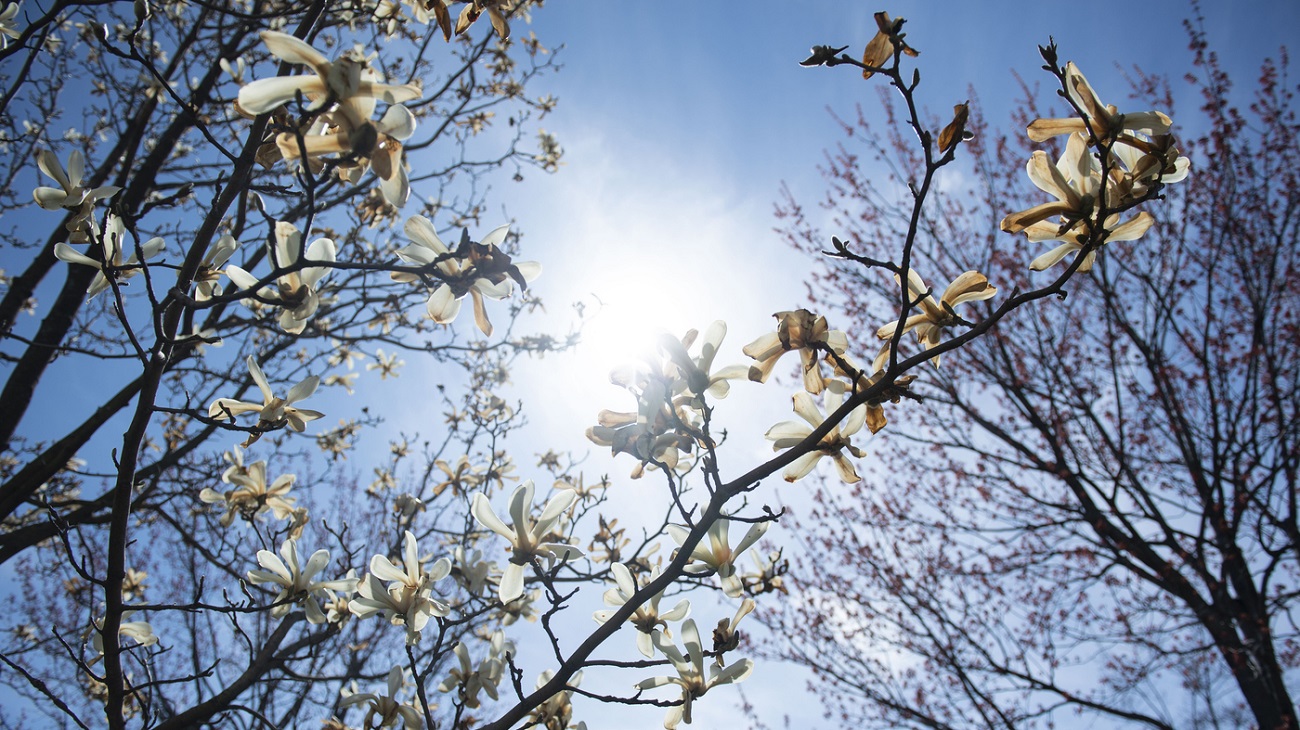 Spring 2023 PEAK Experiences Awards Applications Now Open!