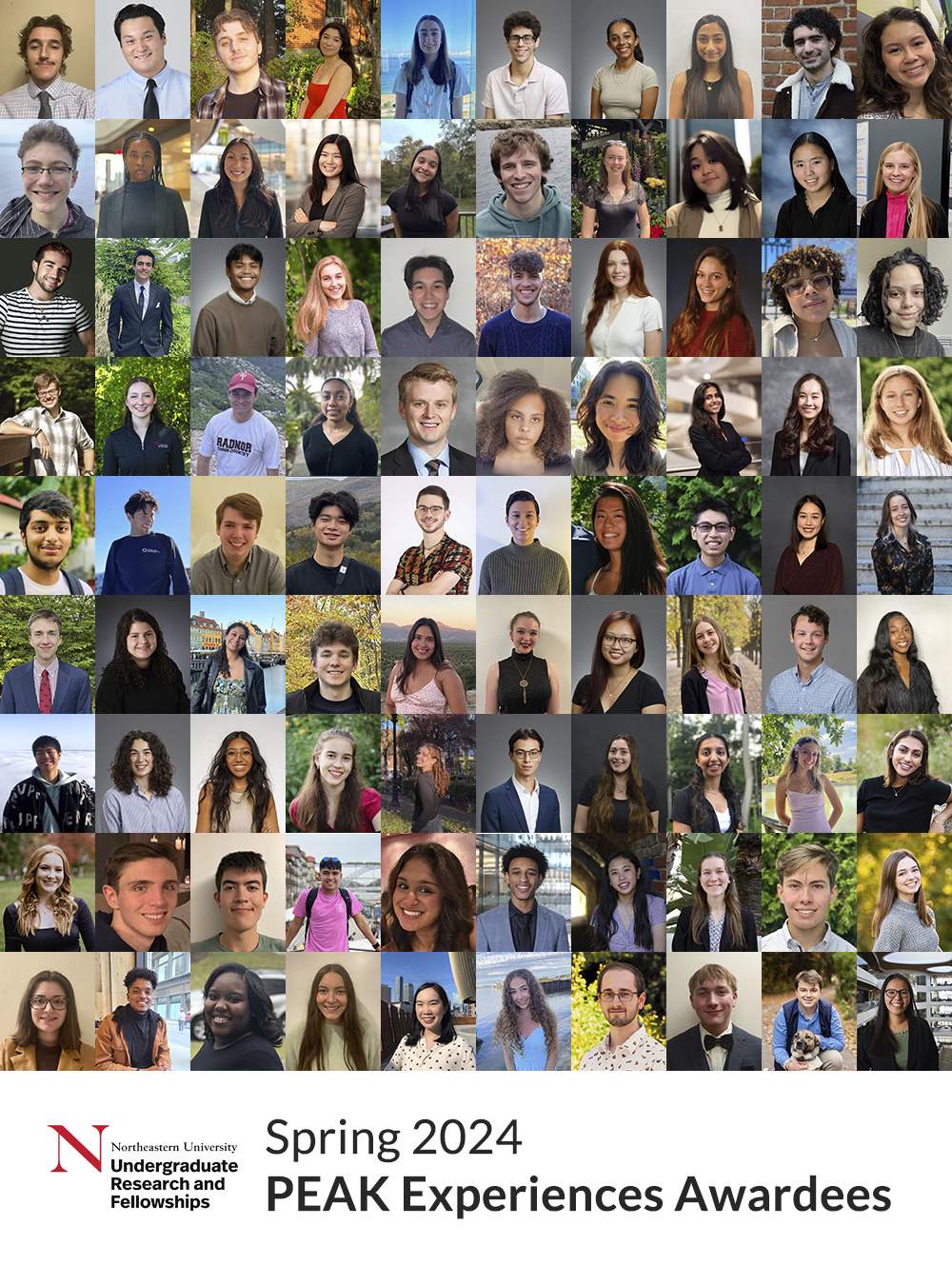 Record Number of Huskies Pursuing PEAK Projects This Spring