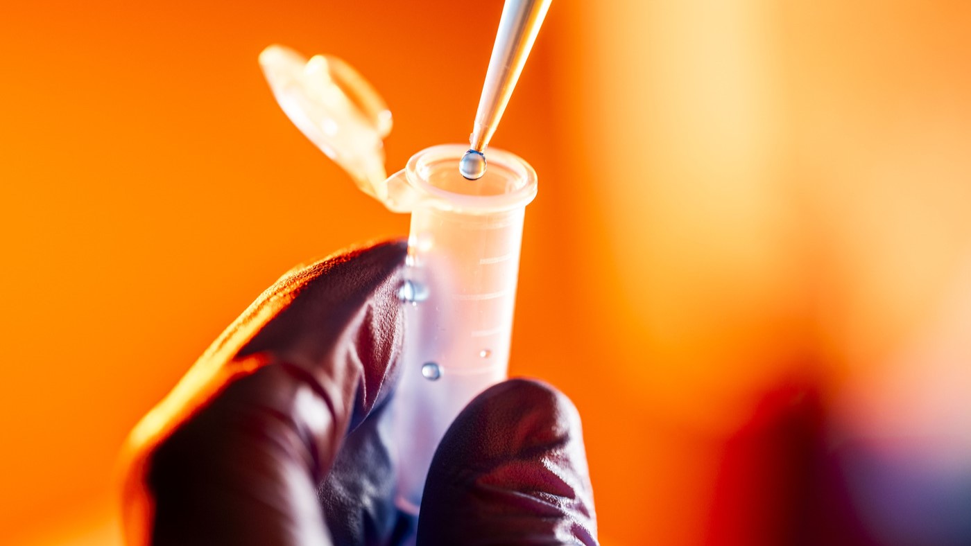 Spring 2026 PEAK Fellowships Cohort Begins Projects