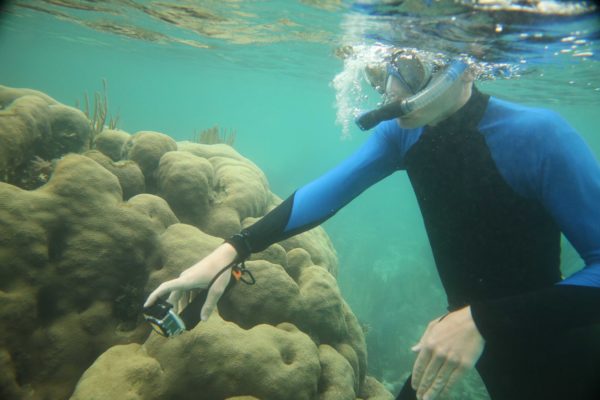 Ben Moran diving on a coral reef
