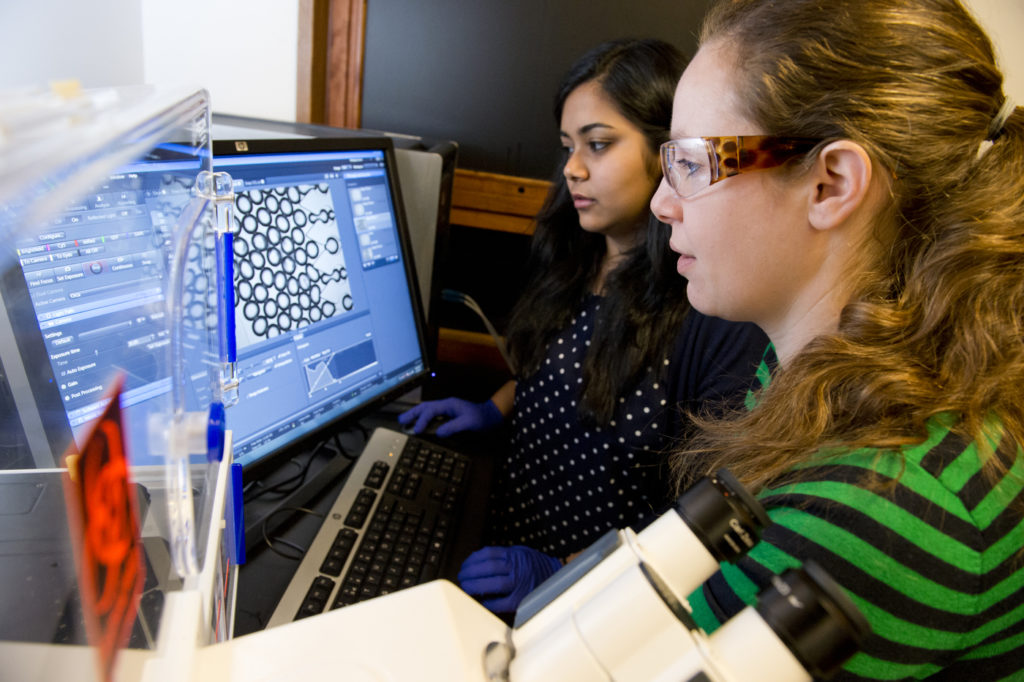 Students Receive Undergraduate Research and Creative Endeavors Awards