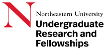 All About Undergraduate Research and Fellowships
