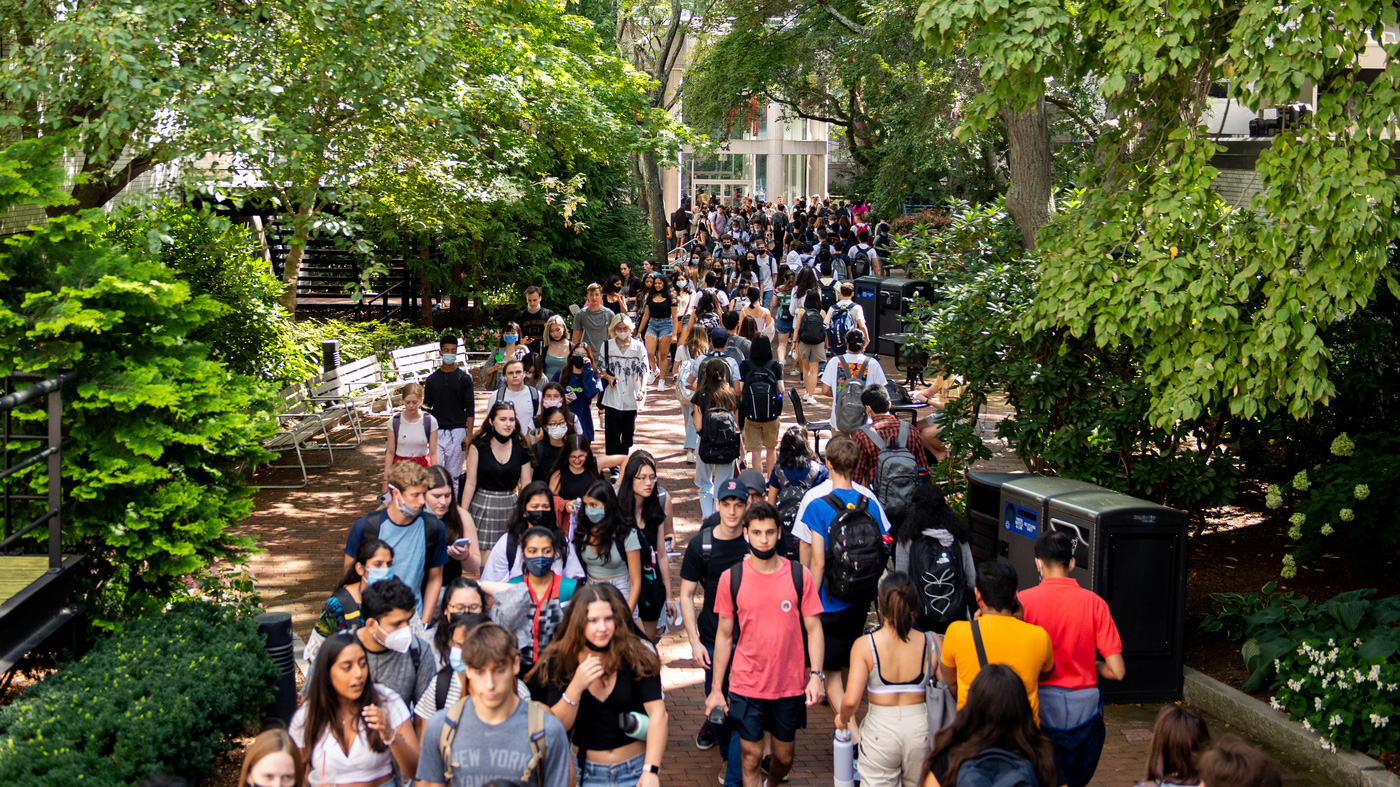 undergraduate research opportunities northeastern