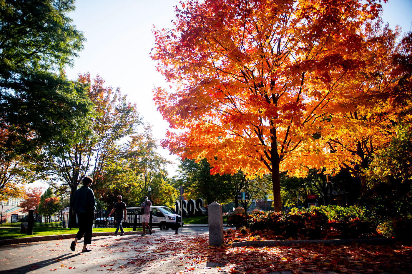 Welcome to the Fall 2022 Term