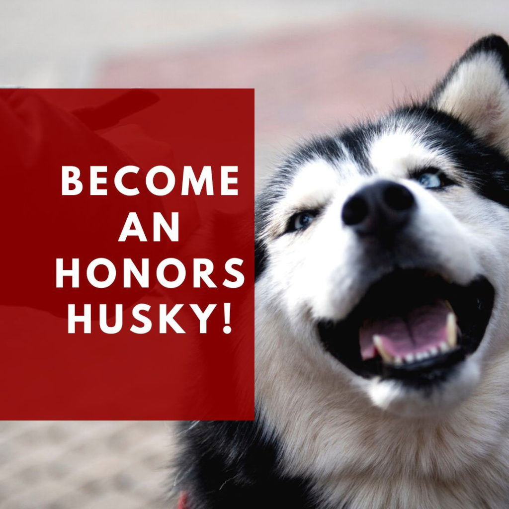 Become an Honors Husky
