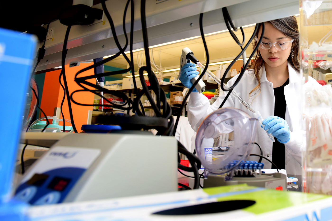 21 Undergraduate Research and Creative Endeavors Awards Funded, Fall 2017