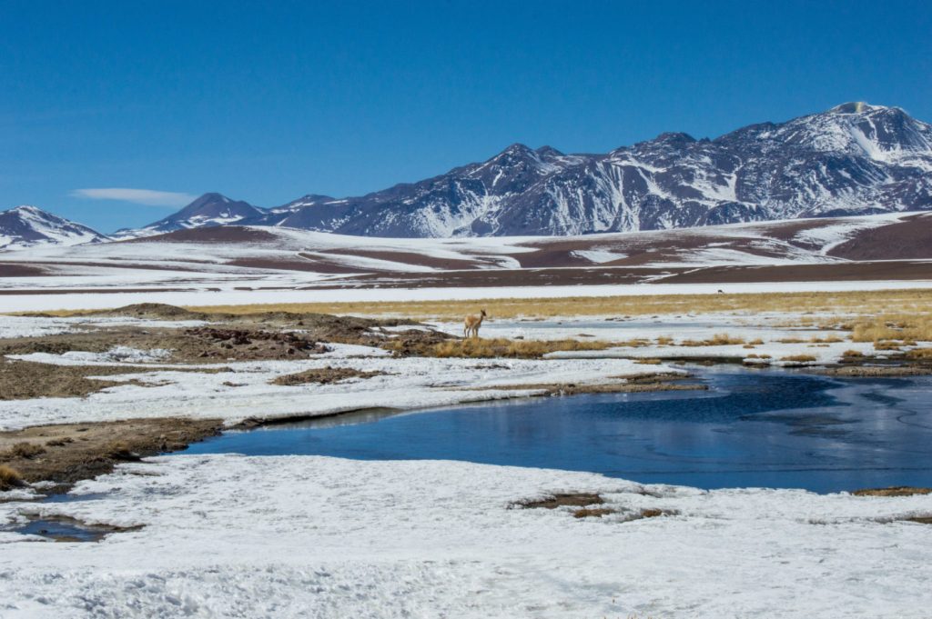 Students Hunt for Bacteria—and Amazing Photos—in Chilean Desert