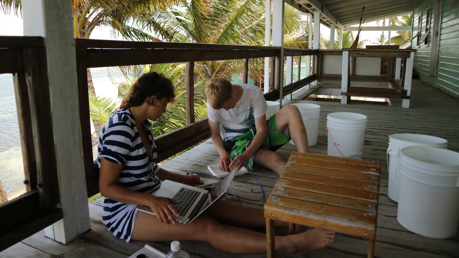 Summer Independent Research Projects Presented