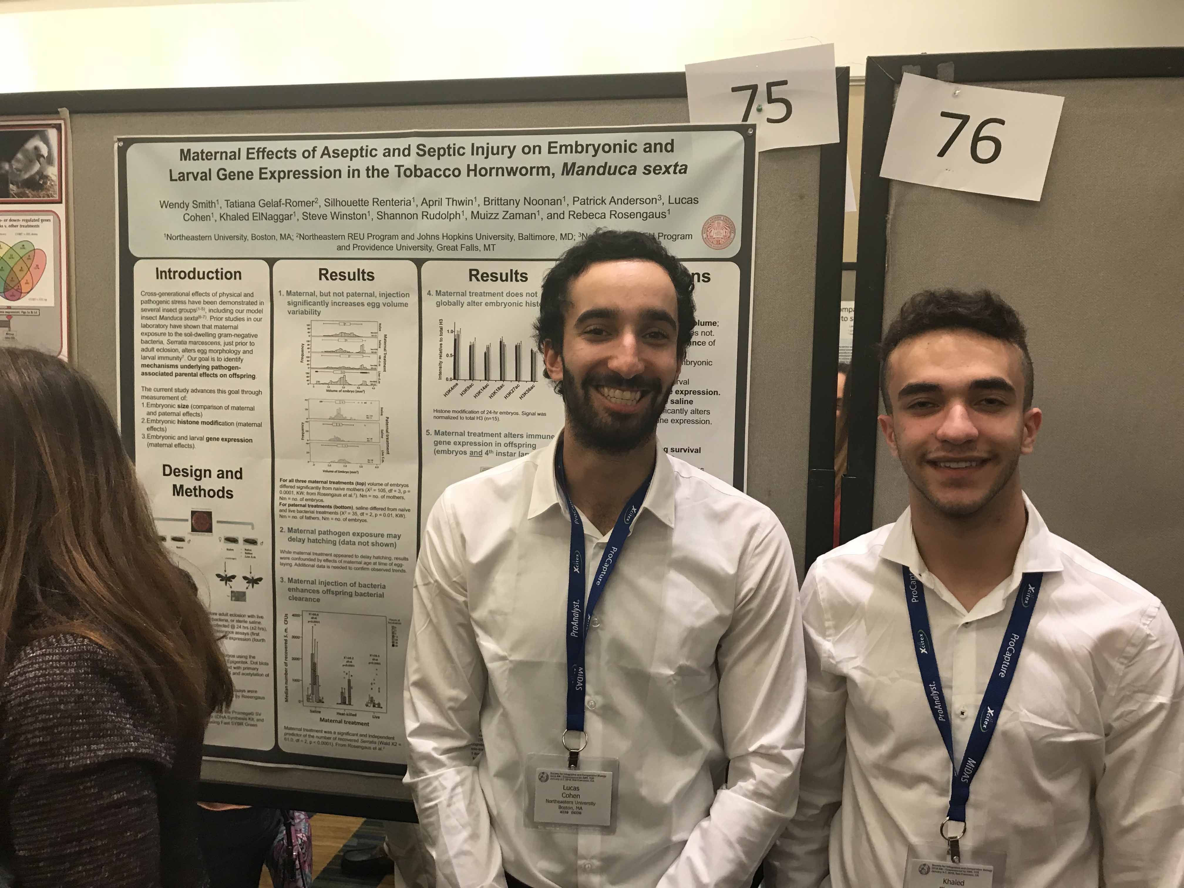 Maternal Effects of Aseptic and Septic Injury on Embryonic and Larval Gene Expression in the Tobacco Hornworm, Manduca sexta