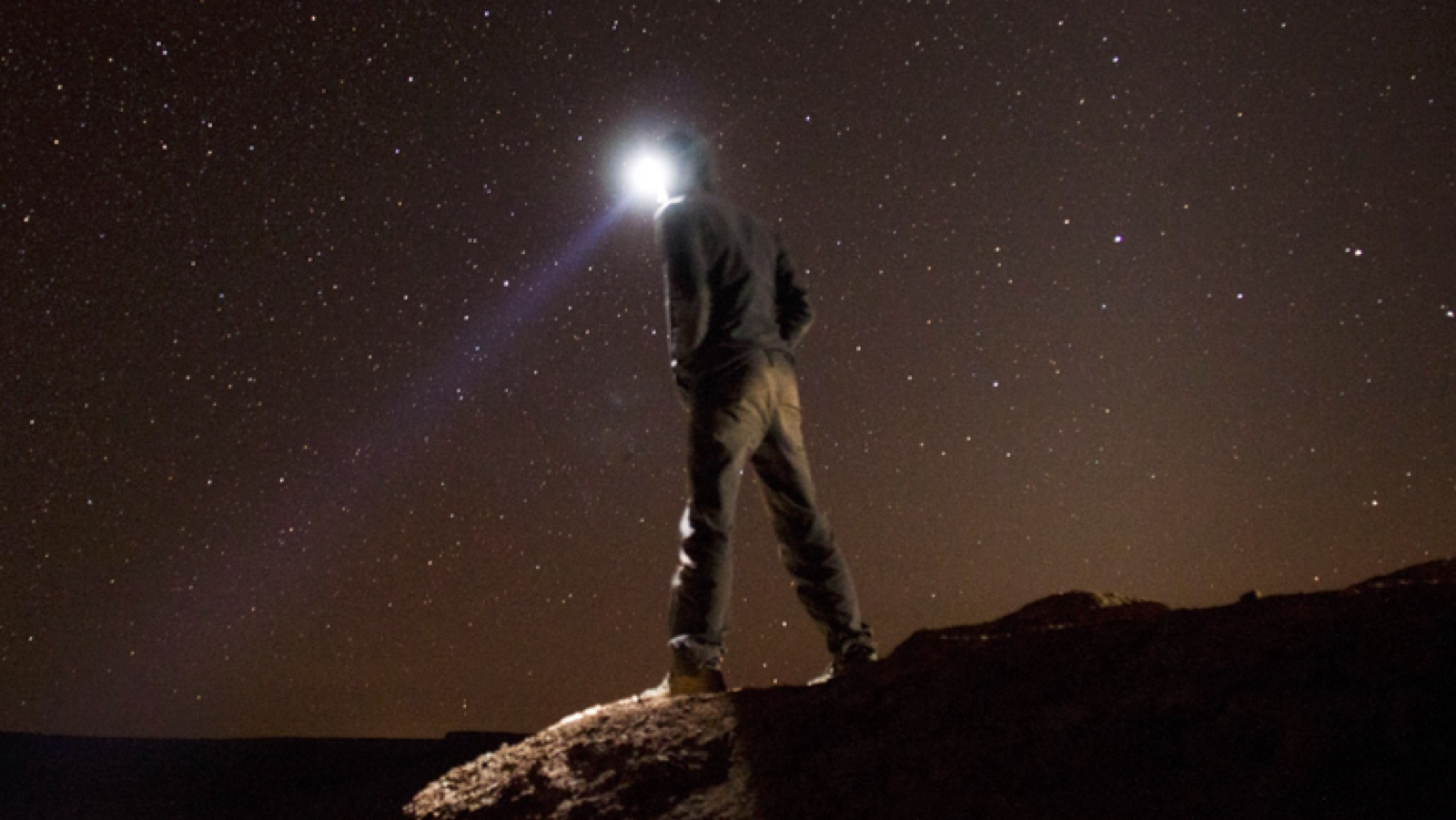 2018 Summer Scholars Independent Research Fellows Announced!