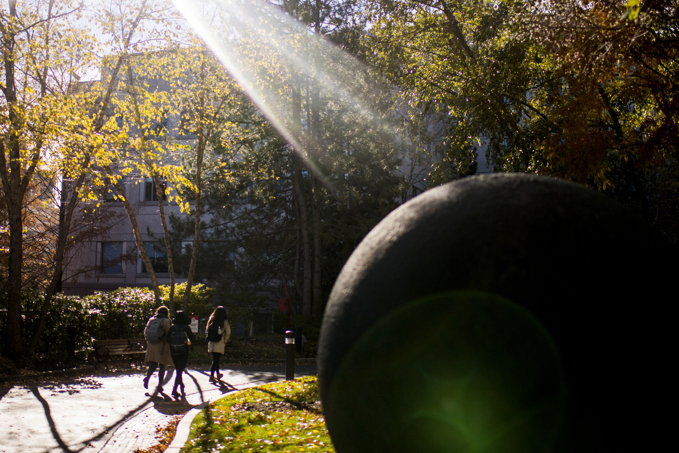 Honors Early Research Awards Connect Students and Mentors