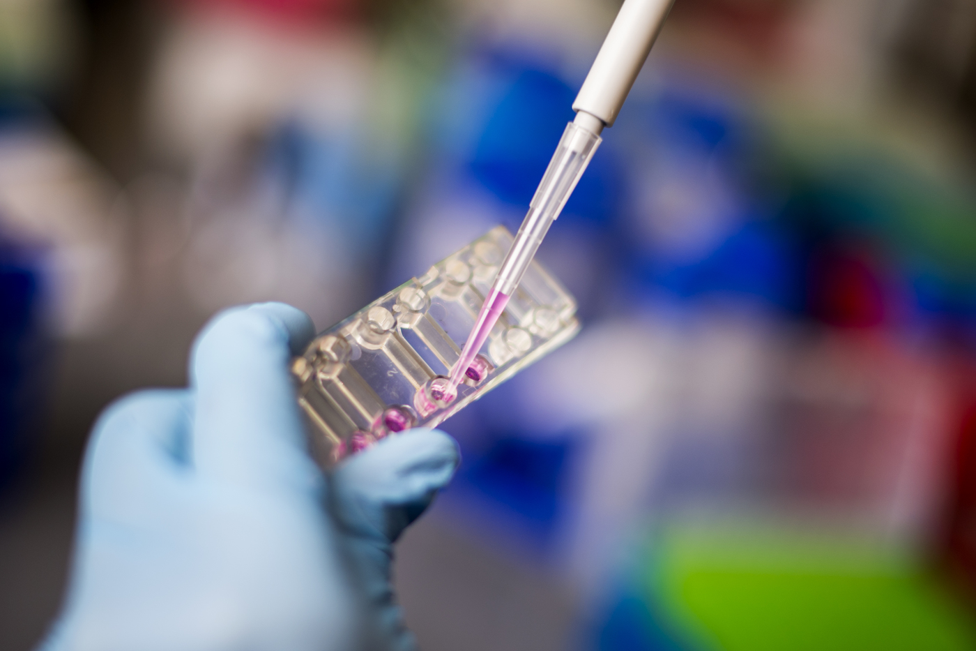 2019 Goldwater Scholarship Nominees Show Promise of High-Impact Research