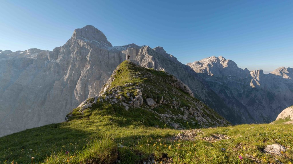 Announcing the PEAK Experiences Awards