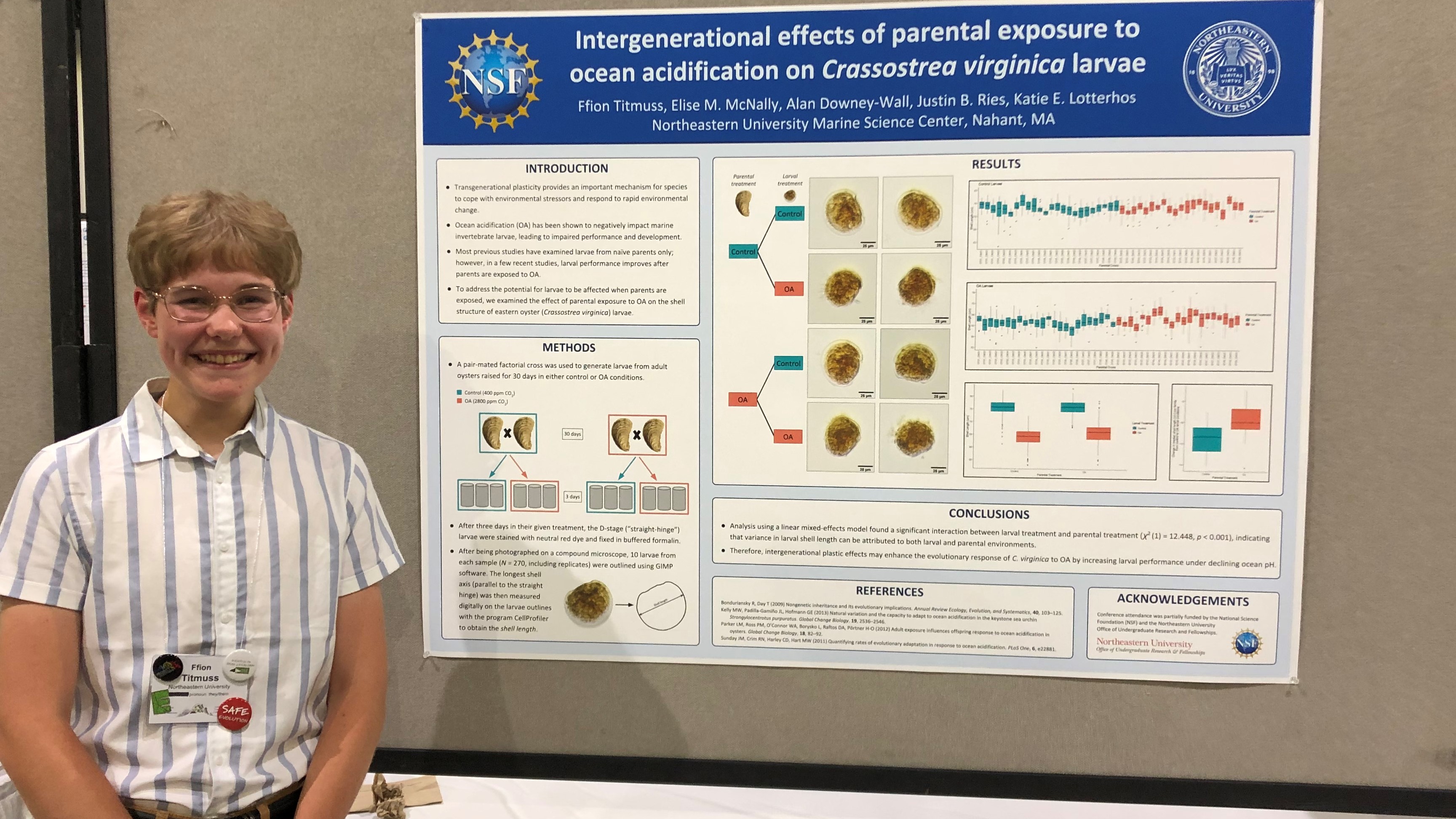 Intergenerational Effects of Parental Exposure to Ocean Acidification on Crassostrea virginica Larvae