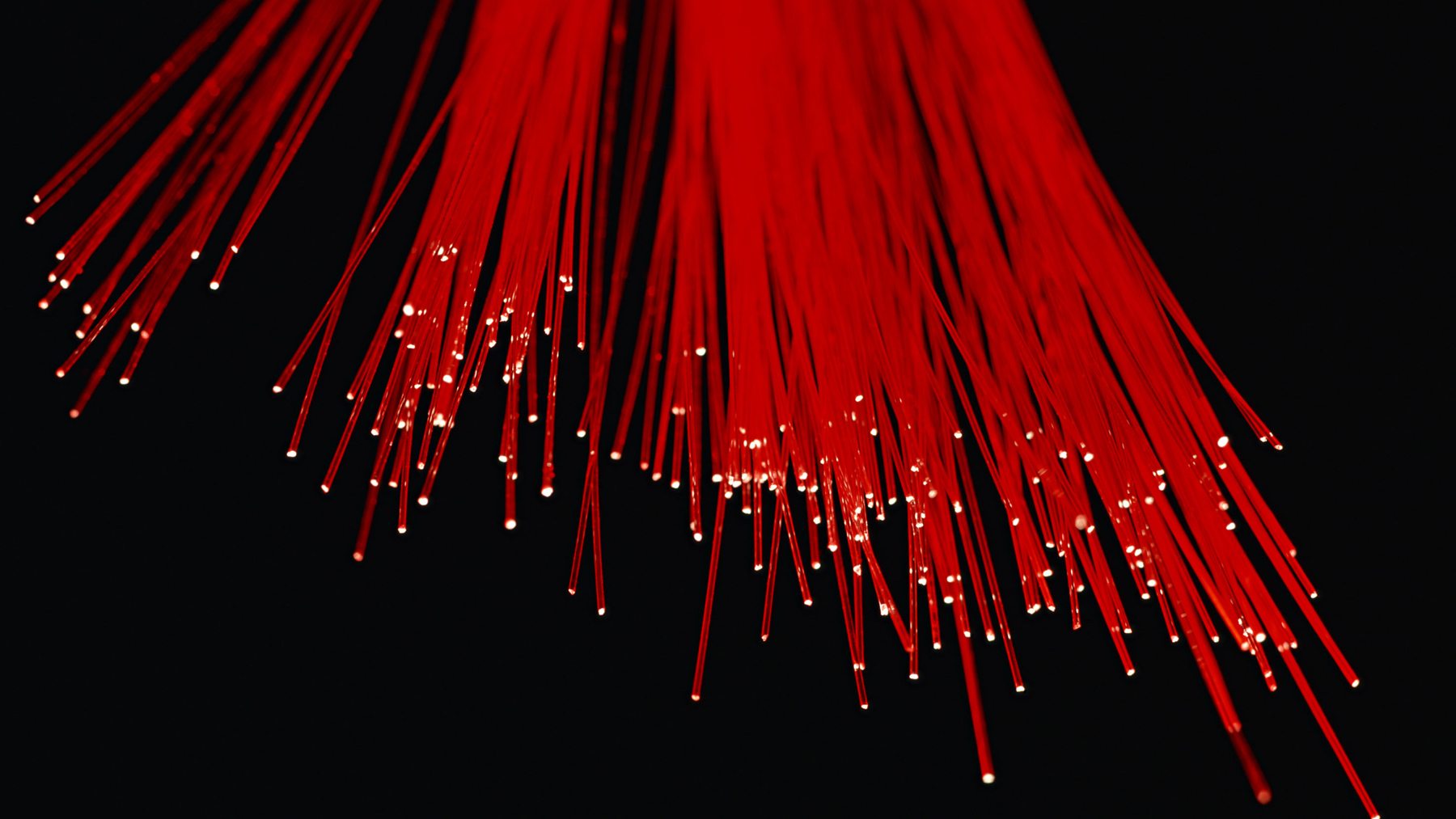 Meet Our Knight-Hennessy and Schwarzman Scholarship Nominees