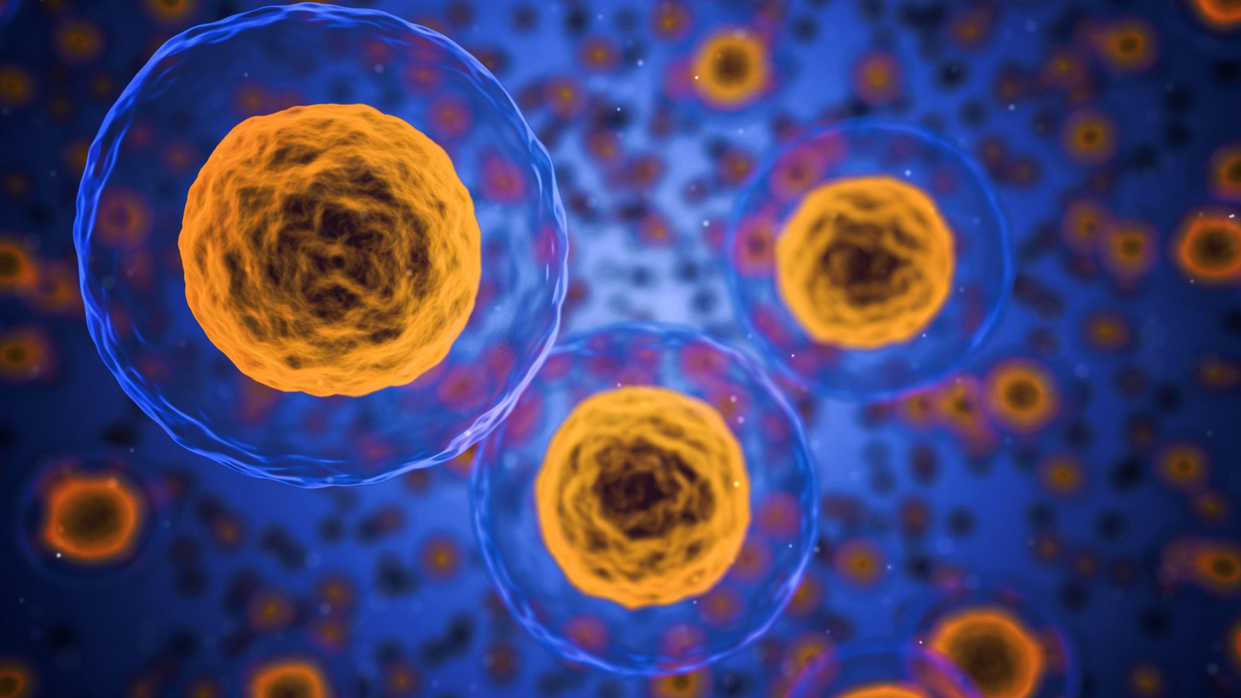 Week 5 of the Virtual PEAK Lunch Series