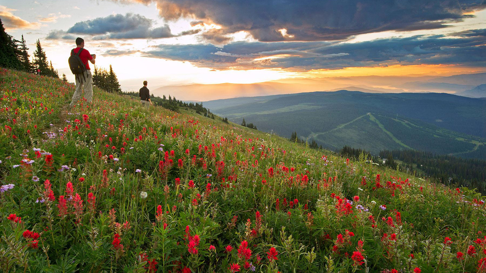 Summer 2023 PEAK Experiences Awards Applications Now Open!