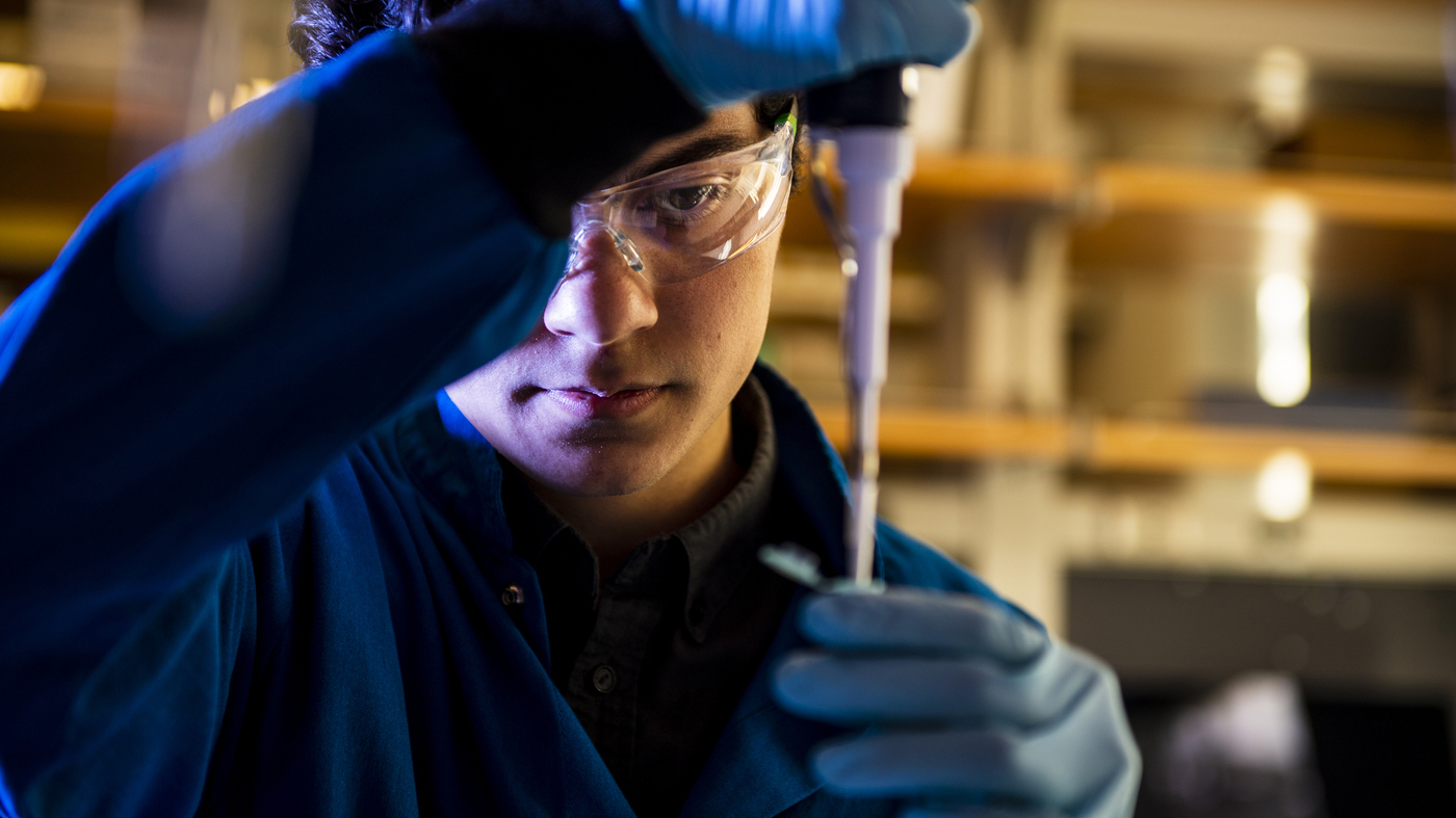 Jill Barrett Research Program in Biology Summer Opportunity