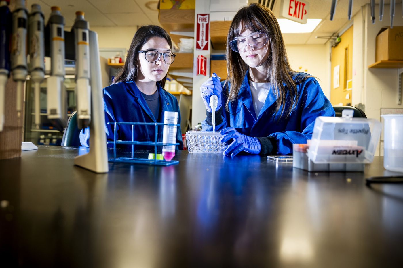 Fall 2026 PEAK Fellows Dive into Research