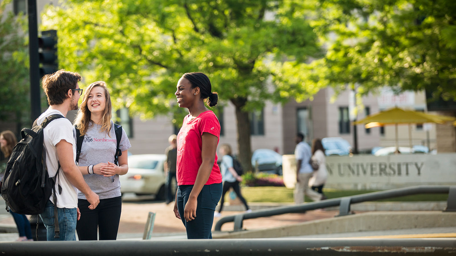 Faculty Connections