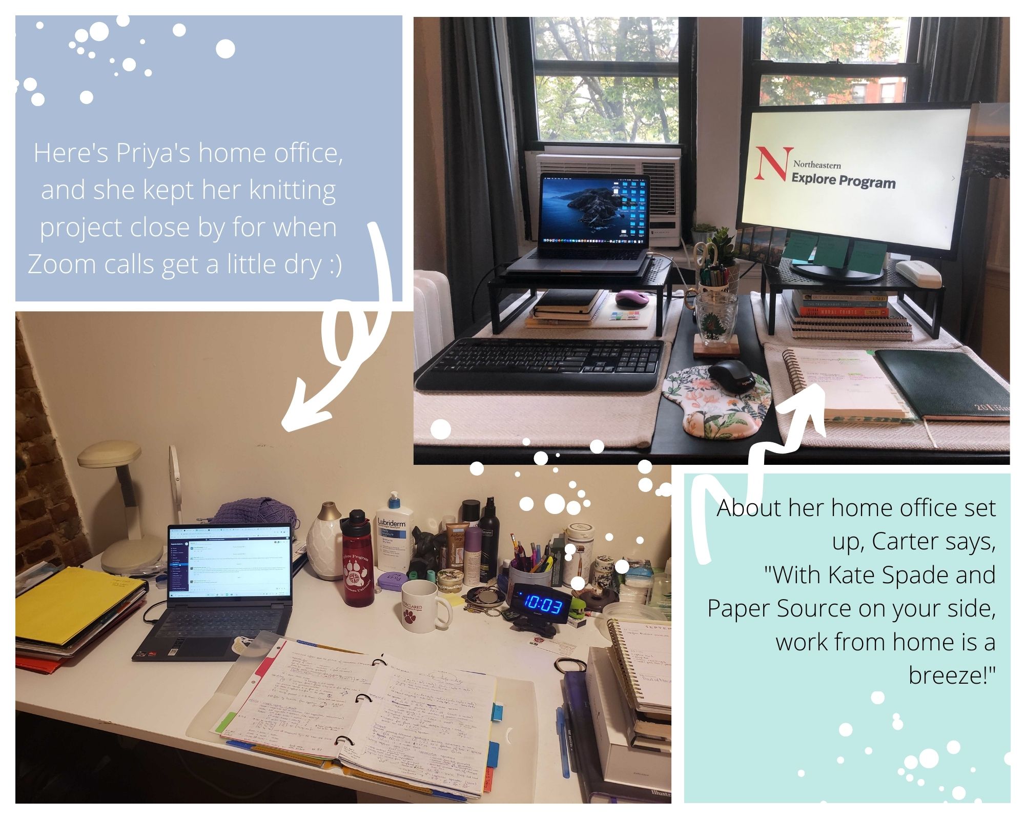 Carter and Priya's Work from Home Setup