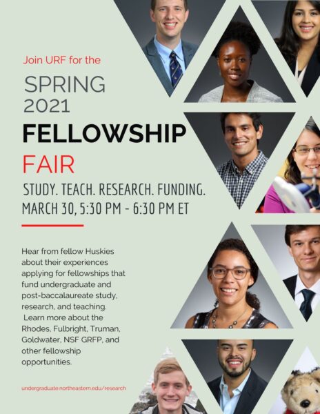 Spring 2021 Fellowship Fair Flyer